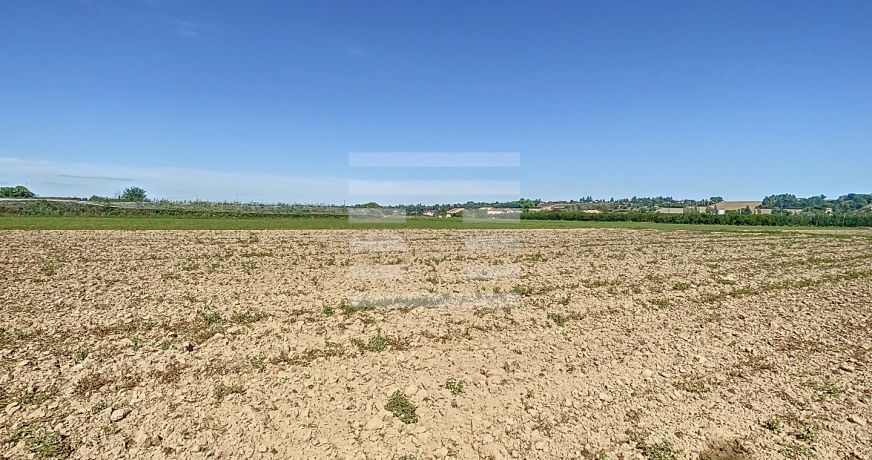 vente Horticole /maraîchage Marmande