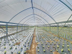 à vendre Horticole /maraîchage Marmande
