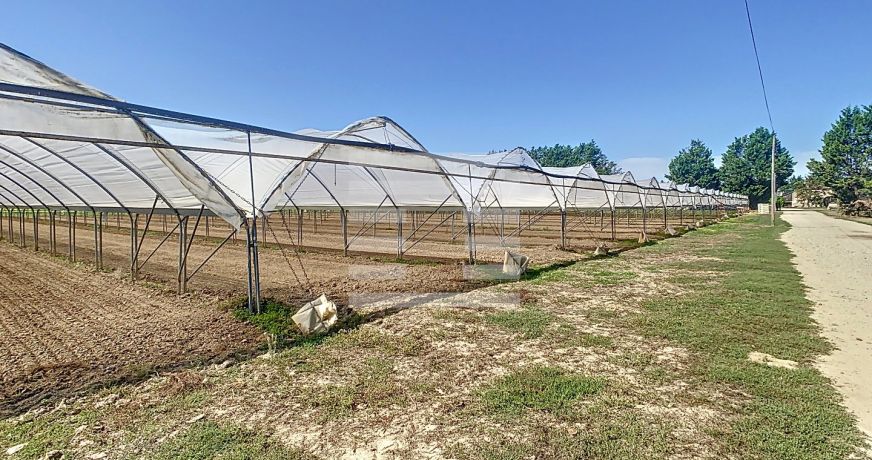 vente Horticole /maraîchage Marmande