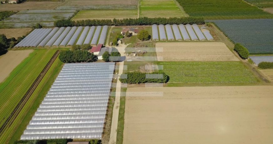 vente Horticole /maraîchage Marmande