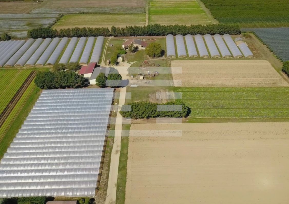à vendre Horticole /maraîchage Marmande