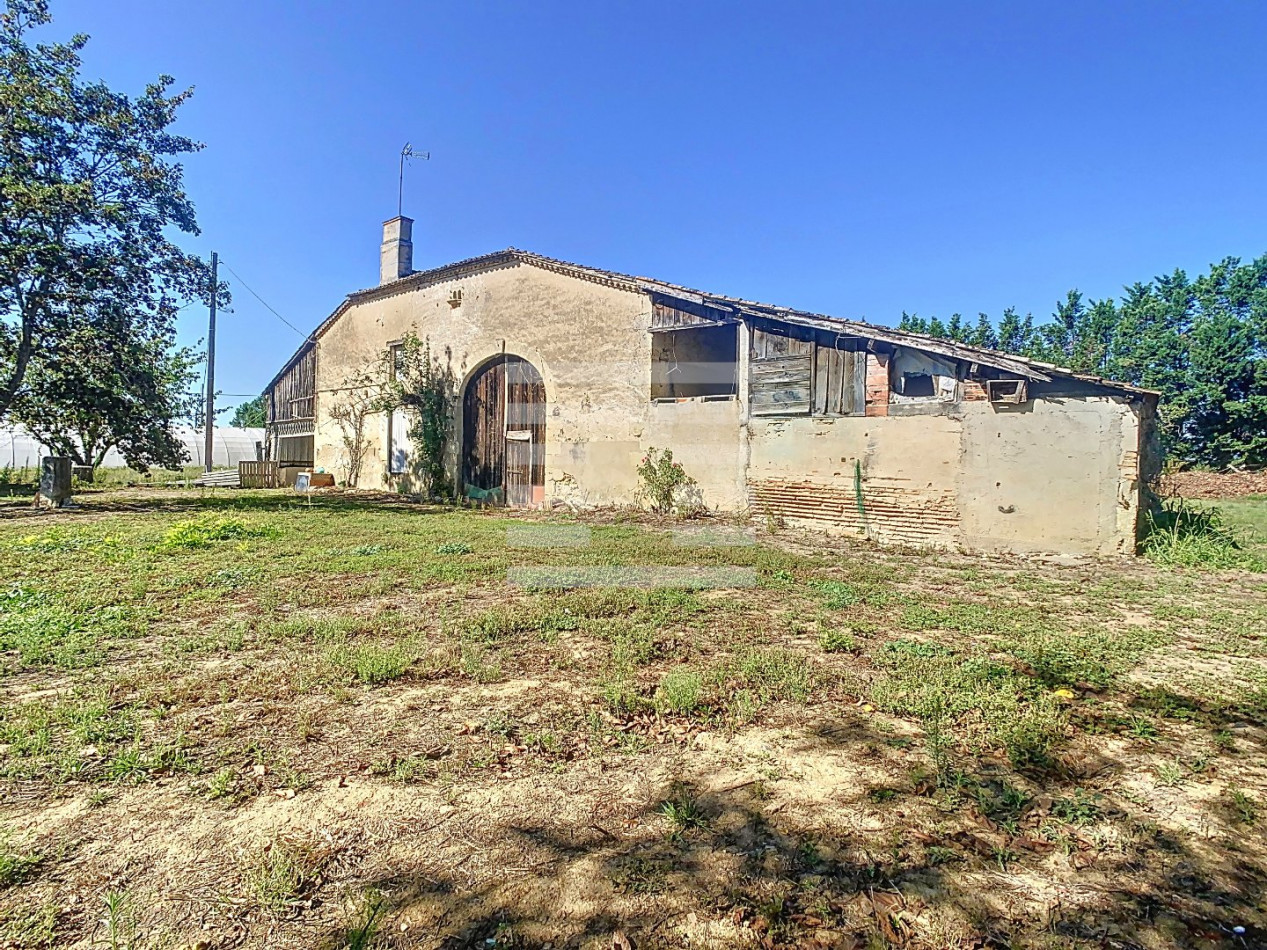 à vendre Horticole /maraîchage Marmande - Photo 6