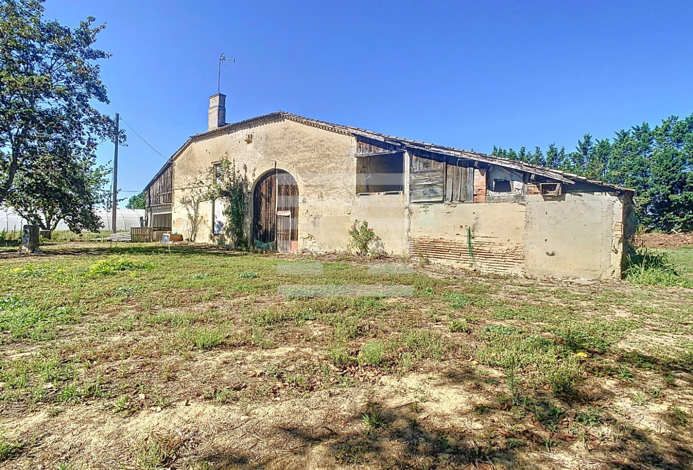 vente Horticole /maraîchage Marmande - Photo 6