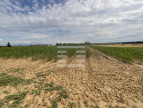 à vendre Agriculture viticulture Beziers