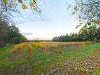 à vendre Terrain viticole Belveze Du Razes