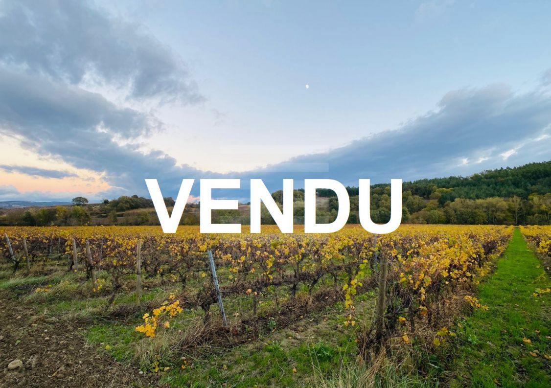 à vendre Terrain viticole Belveze Du Razes