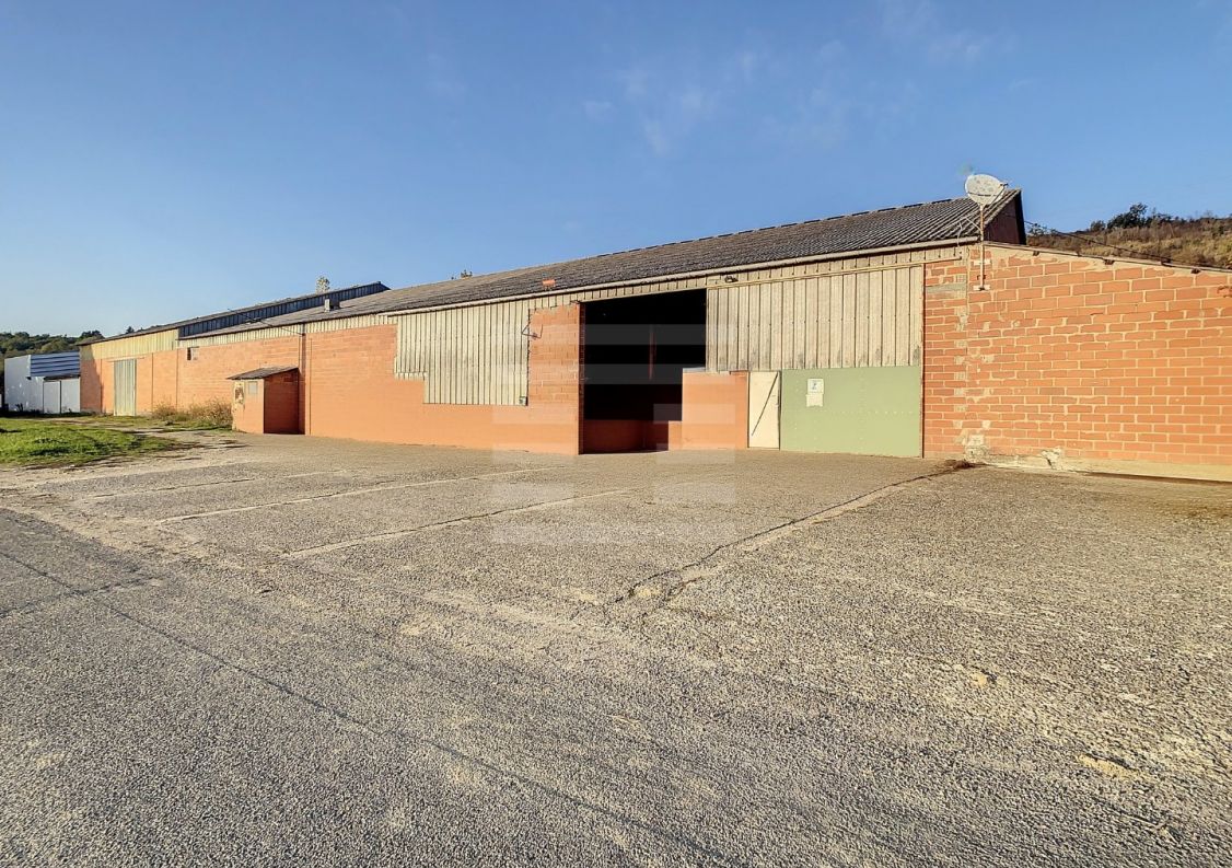 à vendre Locaux d'activité Montauban
