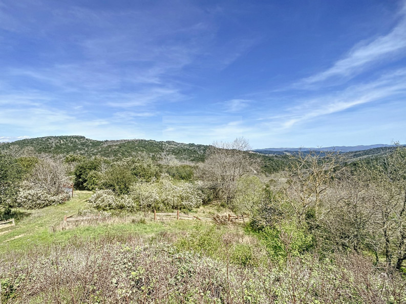 vente Domaine Carcassonne - Photo 10