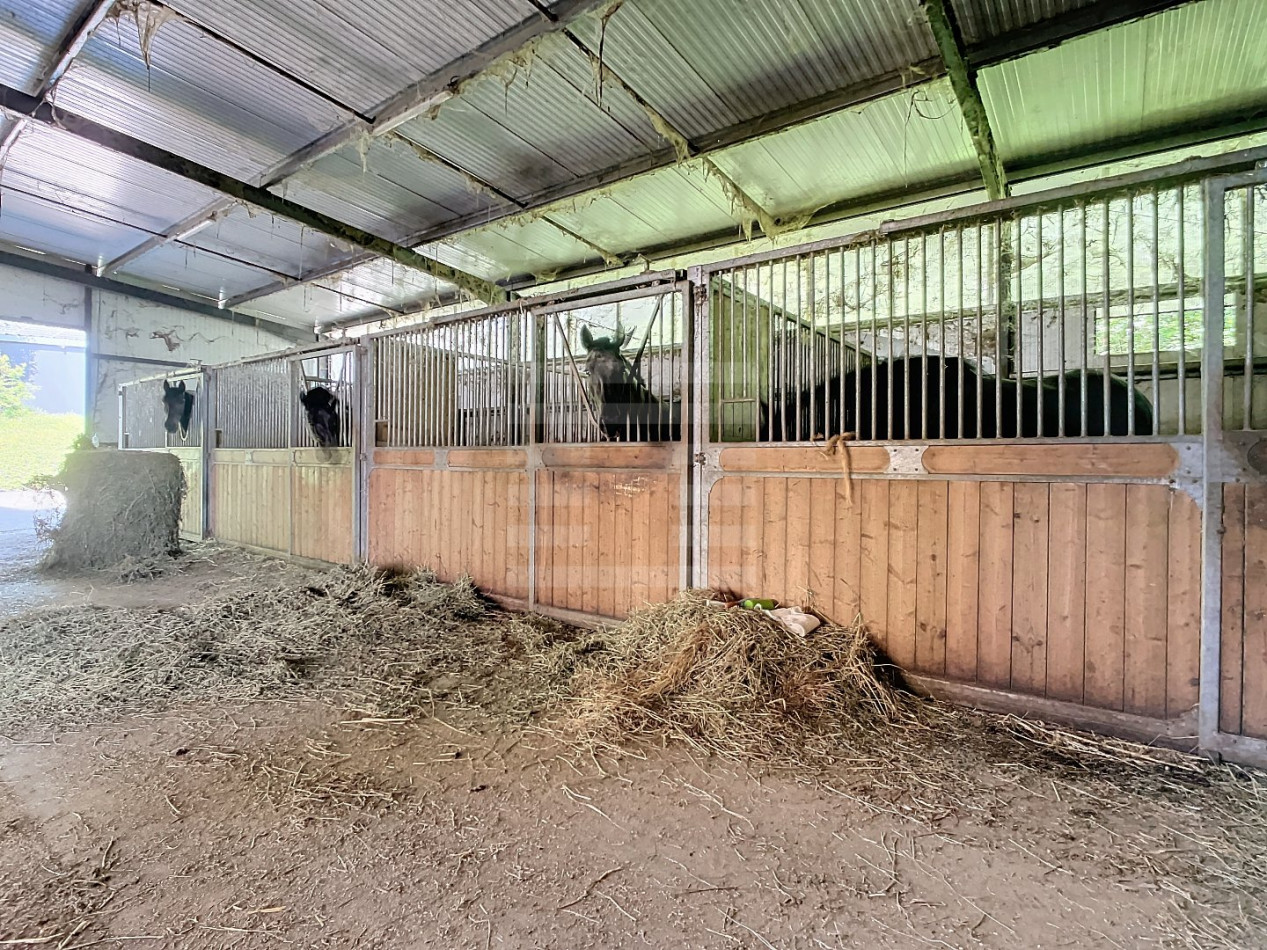 à vendre Propriété agricole Auch - Photo 13