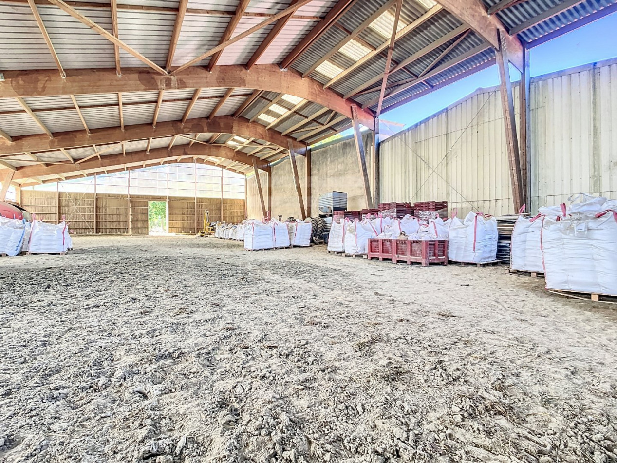 à vendre Propriété agricole Auch - Photo 10