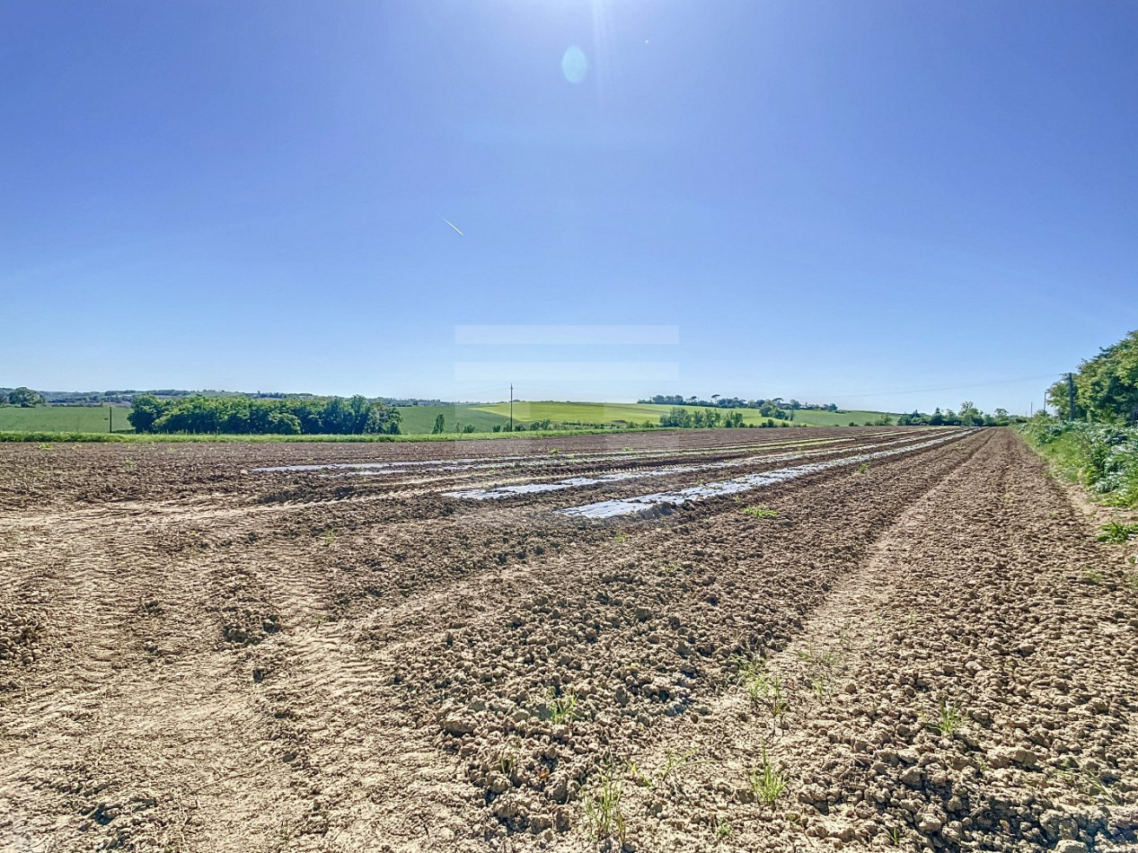 à vendre Propriété agricole Auch - Photo 3