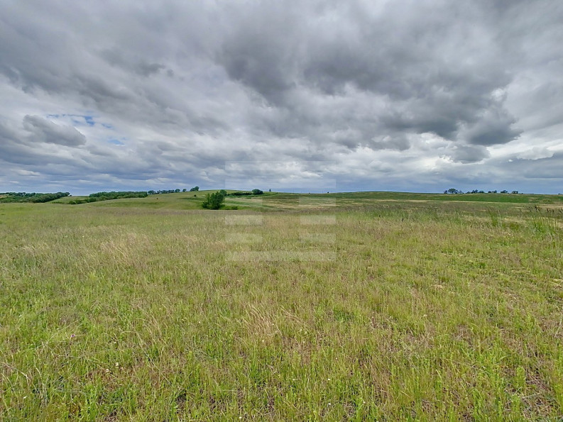 vente Terrain agricole Belpech - Photo 4