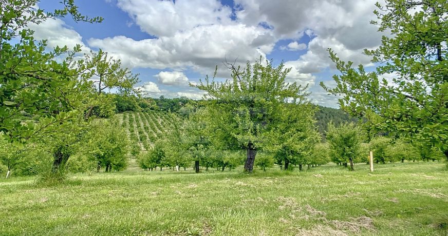 vente Agriculture viticulture Montauban