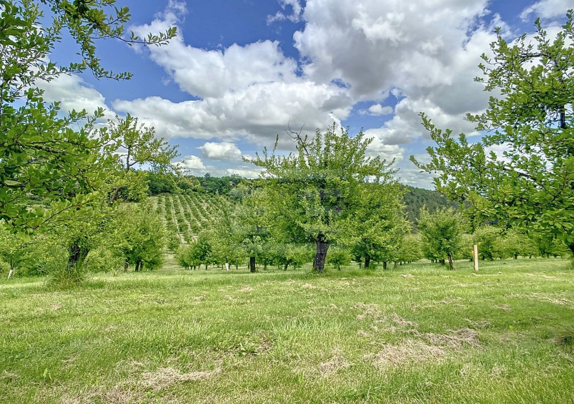 à vendre Agriculture viticulture Montauban