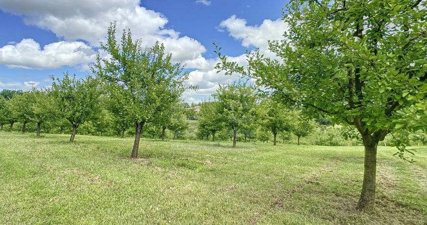 vente Agriculture viticulture Montauban