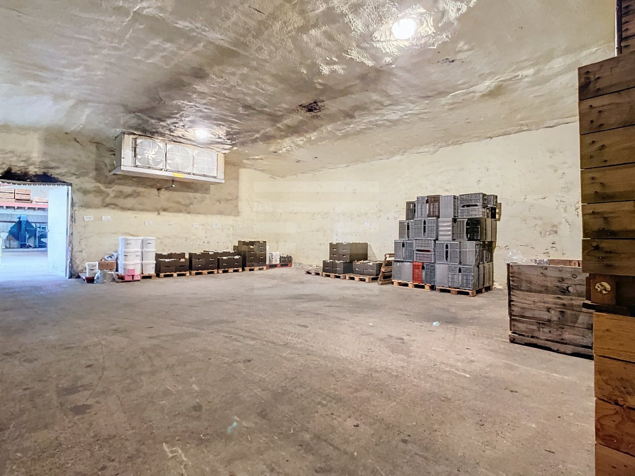 à vendre Agriculture viticulture Montauban - Photo 13