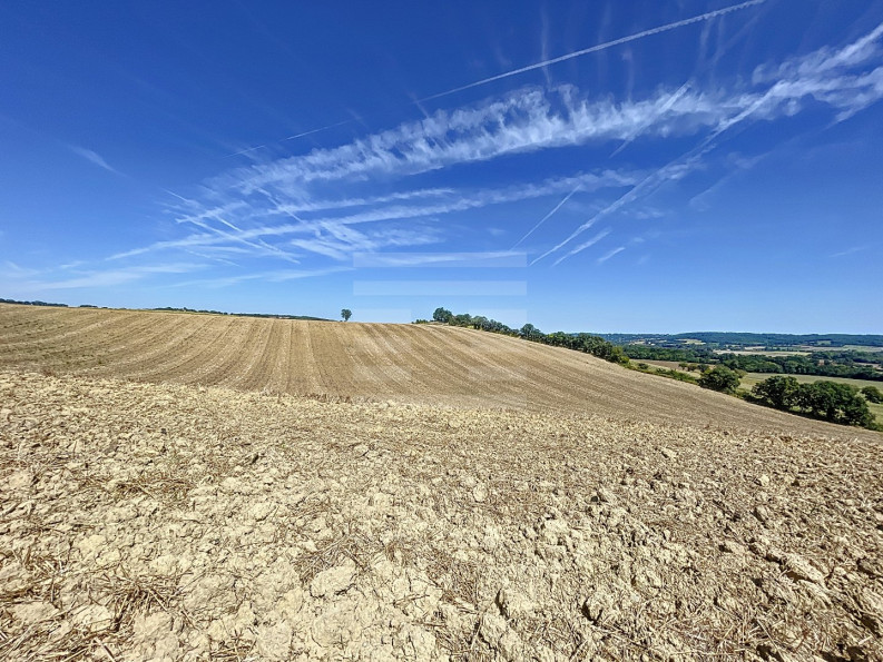 vente Terrain agricole Levignac - Photo 2