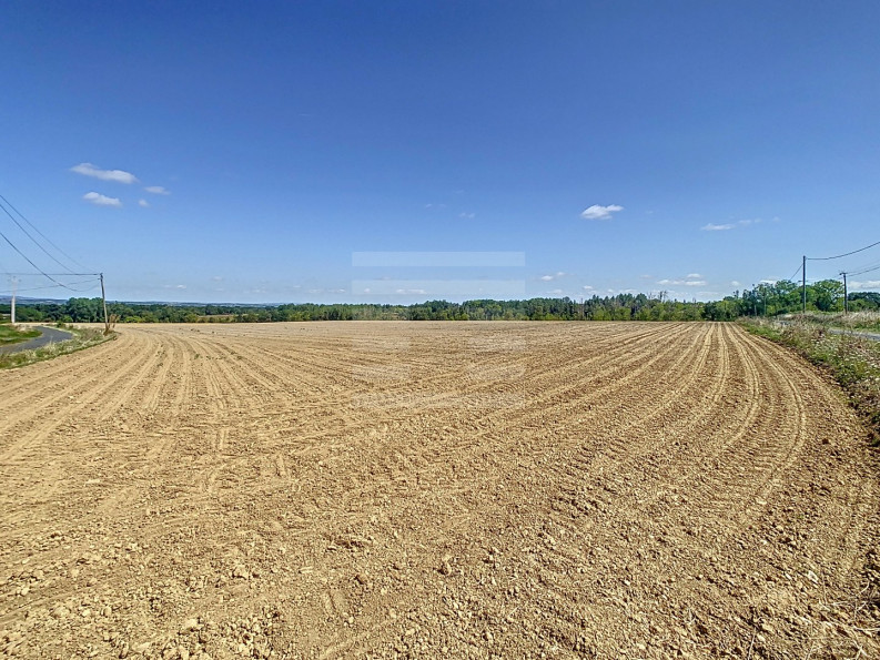 vente Terrain agricole Gaillac - Photo 4