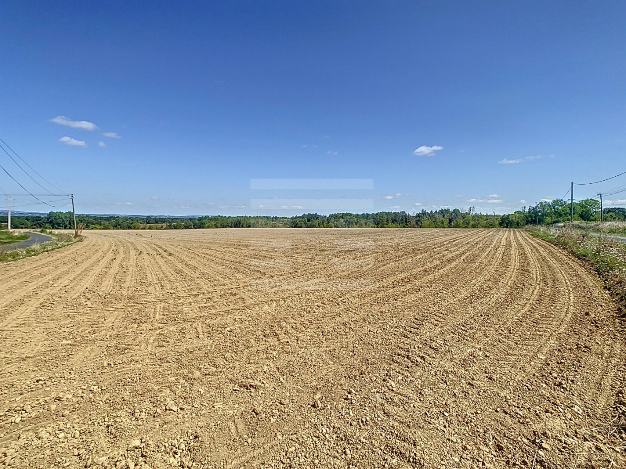 à vendre Terrain agricole Gaillac - Photo 4
