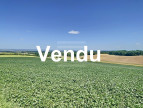 à vendre Terrain agricole Gaillac