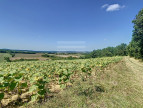 à vendre Terrain agricole Gaillac