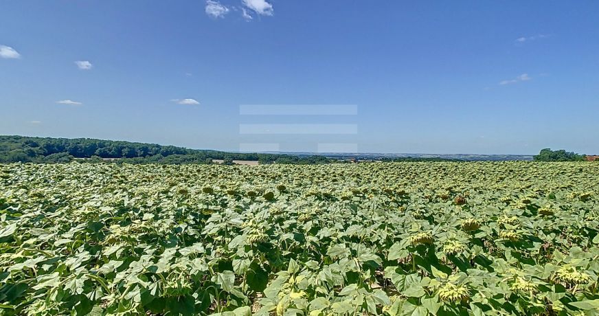 vente Terrain agricole Gaillac