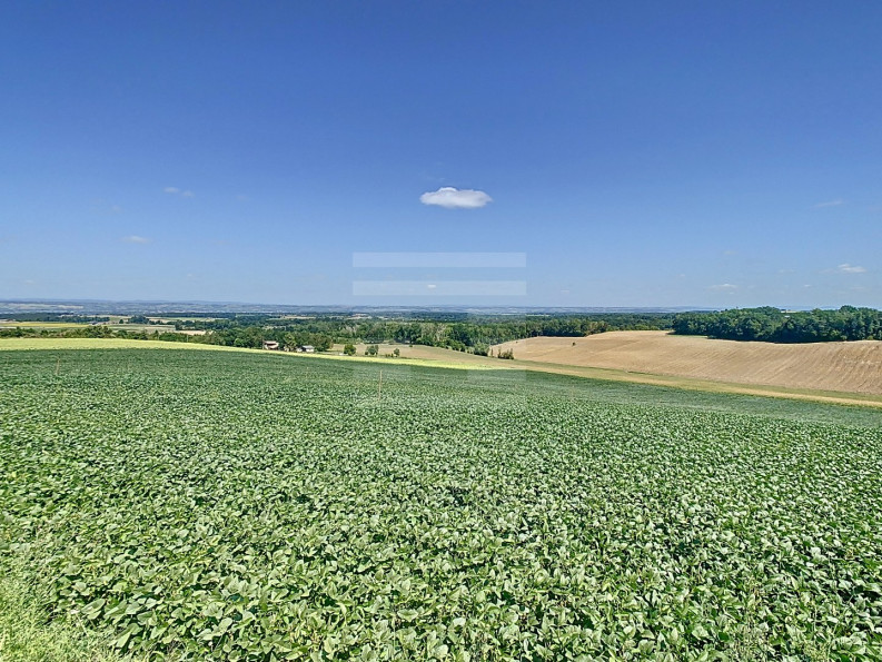 vente Terrain agricole Gaillac - Photo 10