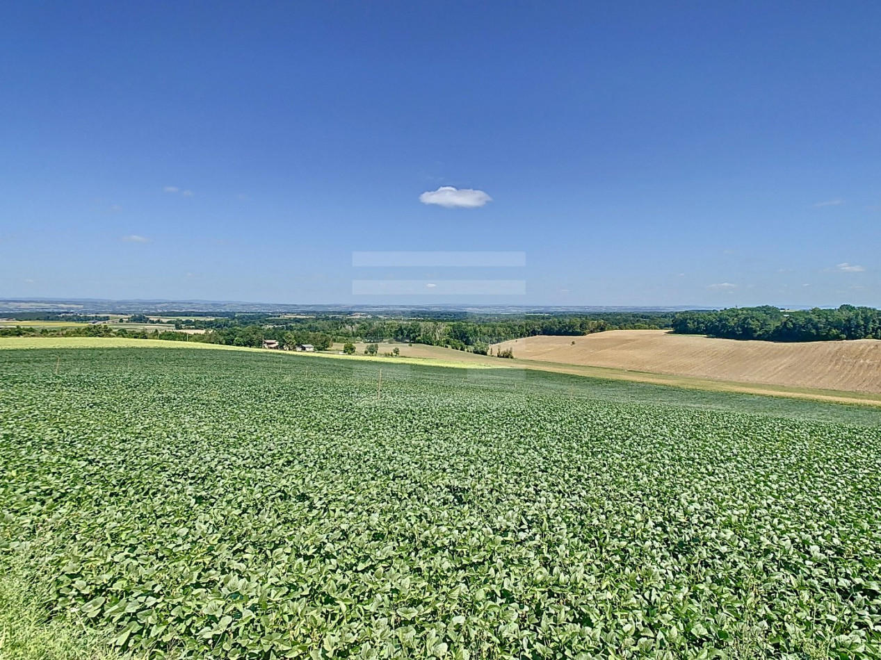 à vendre Terrain agricole Gaillac - Photo 10
