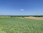 à vendre Terrain agricole Gaillac