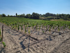 for sale Propriété viticole Lezignan Corbieres
