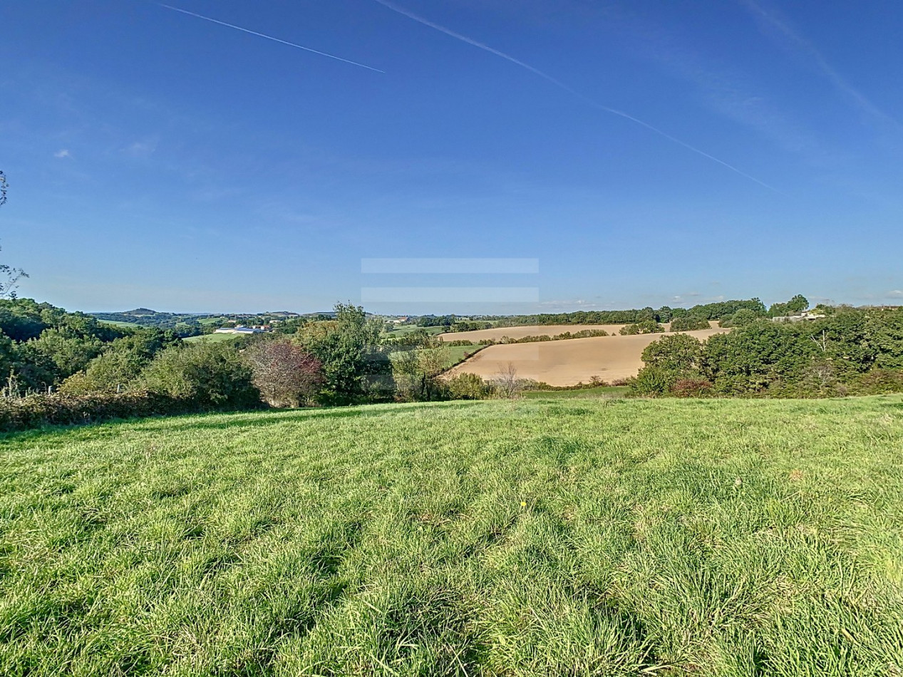 à vendre Ovins / caprins Albi - Photo 2