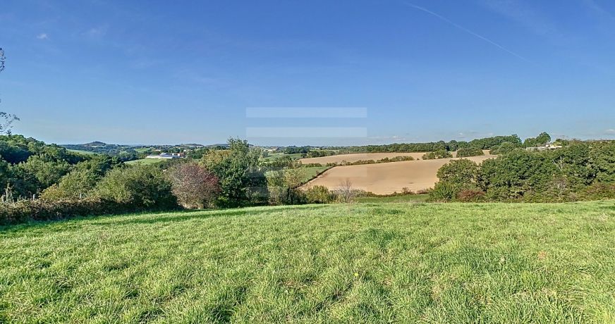 vente Ovins / caprins Albi