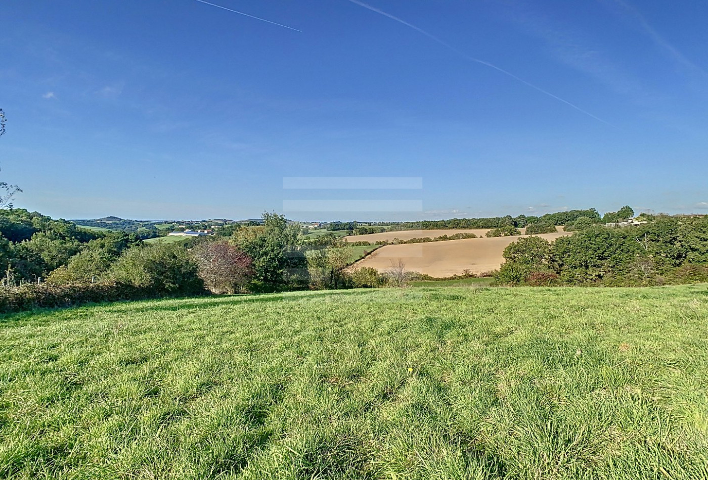 vente Ovins / caprins Albi - Photo 2