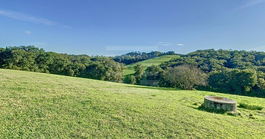 vente Ovins / caprins Albi