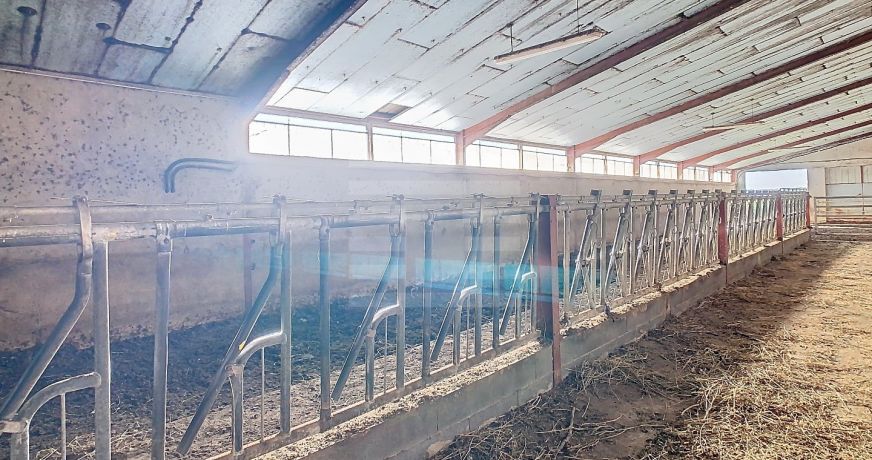 vente Ovins / caprins Albi