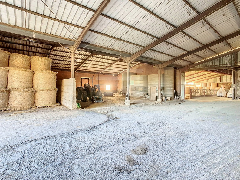 vente Ovins / caprins Albi - Photo 10