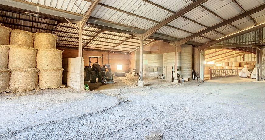 vente Ovins / caprins Albi