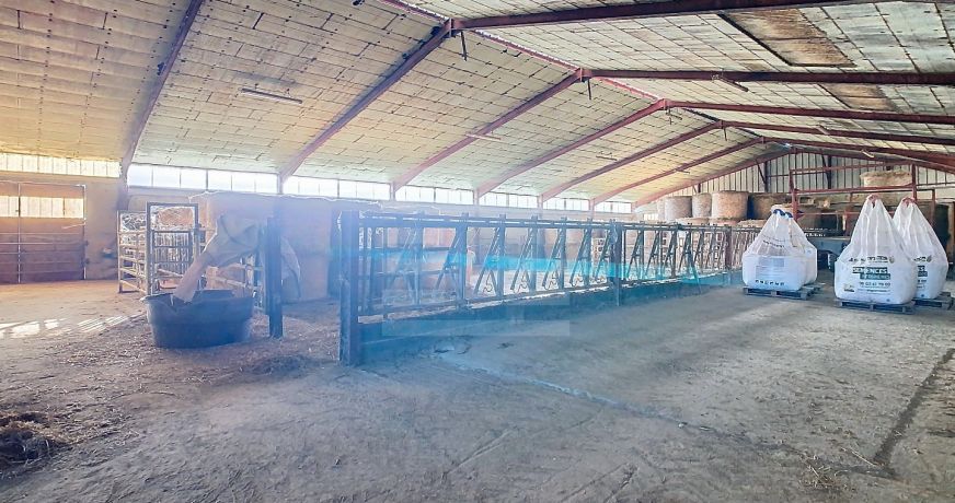 vente Ovins / caprins Albi