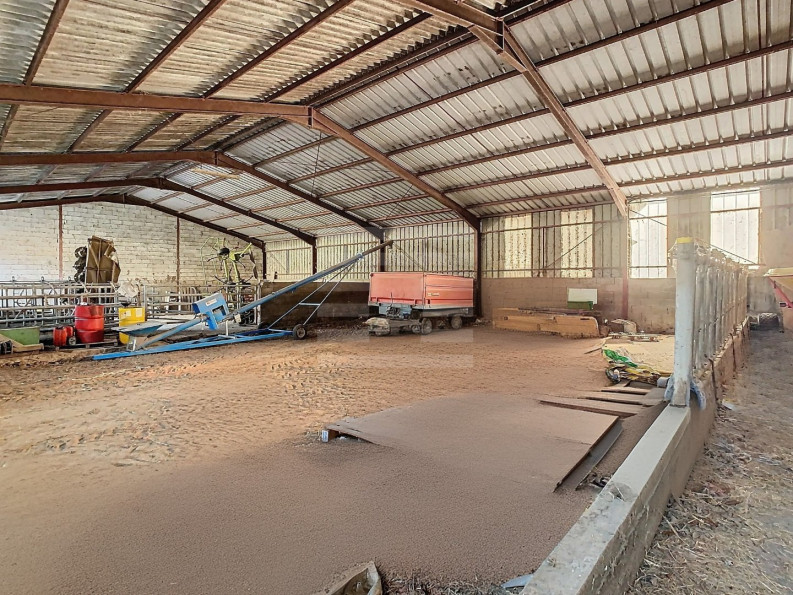 vente Ovins / caprins Albi - Photo 9