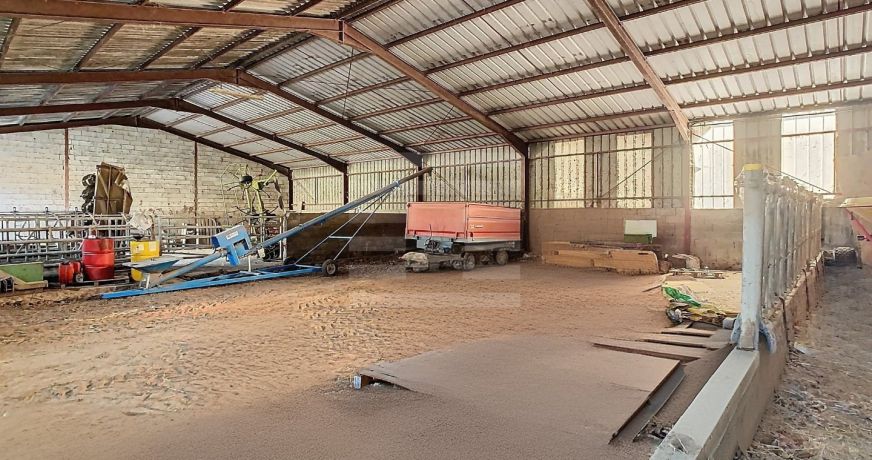 vente Ovins / caprins Albi