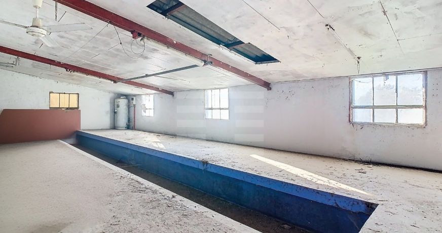 vente Ovins / caprins Albi