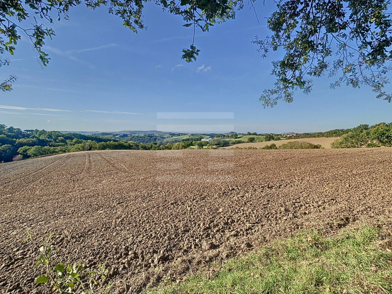 vente Ovins / caprins Albi - Photo 3