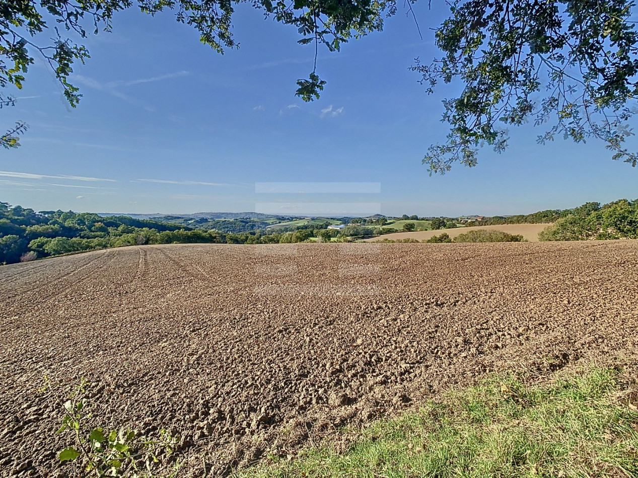 à vendre Ovins / caprins Albi - Photo 3