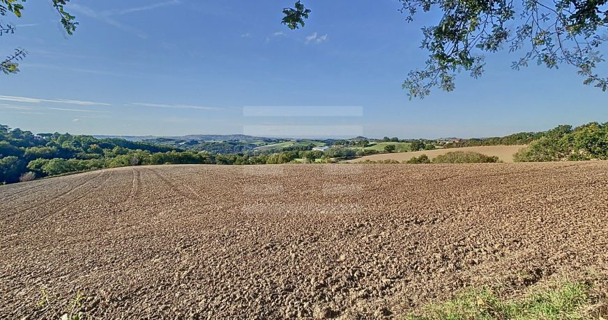 vente Ovins / caprins Albi