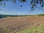 vente Ovins / caprins Albi