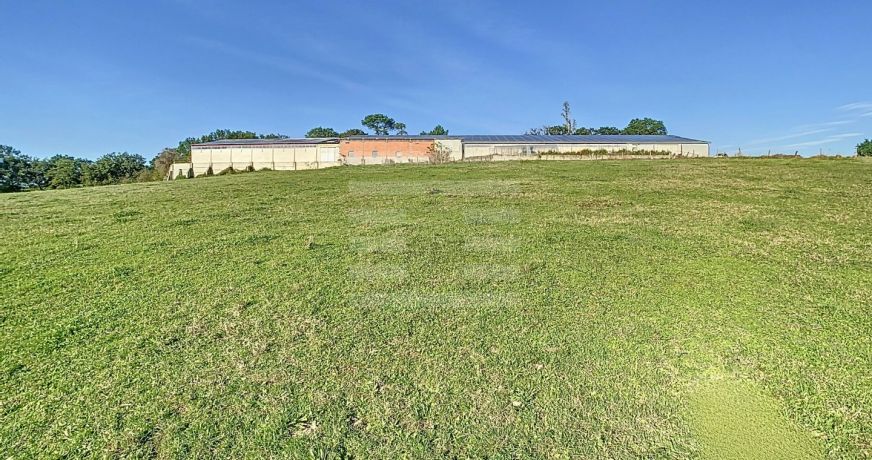 vente Ovins / caprins Albi