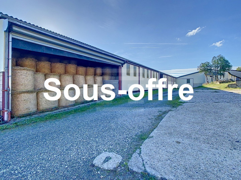 vente Ovins / caprins Albi - Photo 1