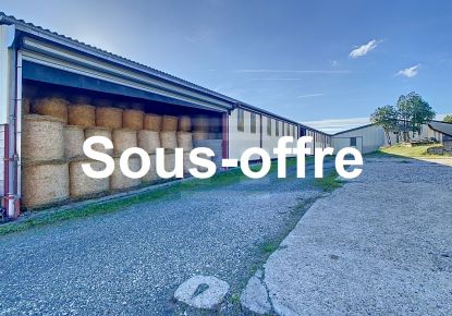vente Ovins / caprins Albi