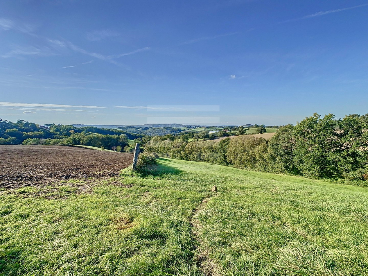 à vendre Ovins / caprins Albi - Photo 4