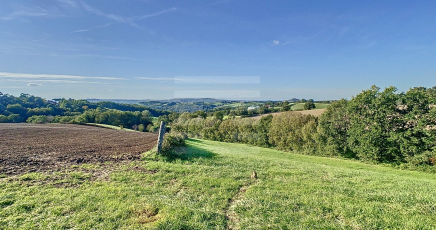 vente Ovins / caprins Albi